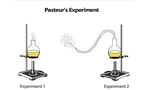 Pasteurs Experiment [upl. by Mindi]