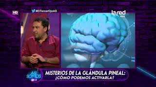 ¿Cómo activar la glándula pineal [upl. by Yeldahc]