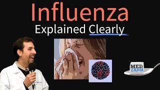 Influenza Prevention Methods [upl. by Oleg]