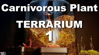 Growing Carnivorous Plants E1 Building a Terrarium [upl. by Vincents]