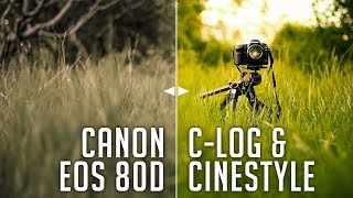 Make Your Canon Videos More Cinematic Canon eos 80D [upl. by Nally]