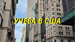 Учеба в США Как учиться в Америке БЕСПЛАТНО Самый полный гайд [upl. by Aicek]