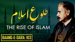 BaangeDara 163  TulueIslam  THE RISE OF ISLAM  Allama Iqbal  Iqbaliyat  AadhiBaat [upl. by Hedi148]