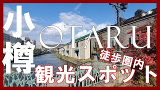 【小樽観光】小樽駅から徒歩圏内ここだけは外せないベタな観光スポット Sightseeing spots in Otaru [upl. by Anasor]