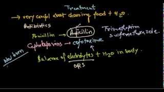 Escherichia coli treatment [upl. by Buchanan227]