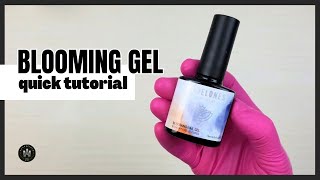 MODELONES Blooming Gel Easy amp Quick Tutorial [upl. by Icats447]