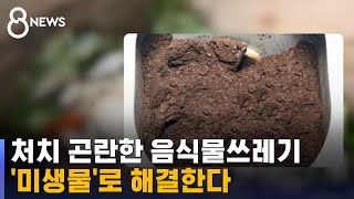 처치 곤란한 음식물쓰레기 미생물로 해결한다  SBS [upl. by Marelda]