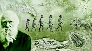 Evolution  What Darwin Never Knew  NOVA Full Documentary HD [upl. by Hgielsel]