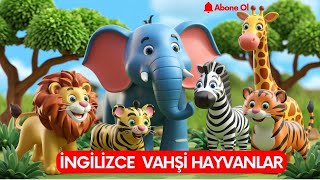 İngilizce Vahşi Hayvanlar  Learning Wild Animals Names For Kids [upl. by Nauqal178]