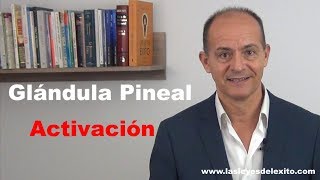 Como activar la glándula pineal conscientemente [upl. by Groark576]