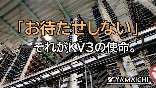 KV3 PV [upl. by Gingras]