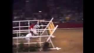 World Record Horse High Jump 2 32 meters [upl. by Nayrda352]