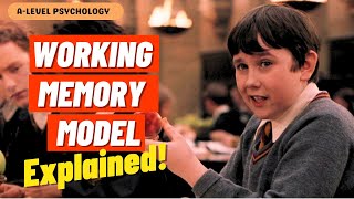 Working Memory Model EXPLAINED  AQA Psychology  Alevel [upl. by Oiligriv734]