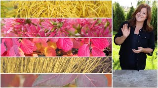 5 Shrubs that Deliver Huge FallColor ❤️🍁🧡🍂💛 Garden Answer [upl. by Pesvoh]