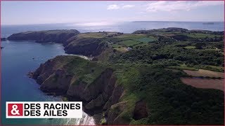 Sercq une seigneurie féodale qui perdure dans la Manche [upl. by Aleras]