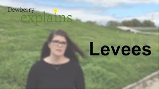 What Are Levees [upl. by Aramois]