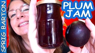 HOW TO MAKE PLUM JAM  PLUM PRESERVES BEST RECIPE Sprig Barton Tutorial [upl. by Donovan]