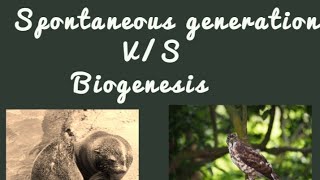 Spontaneous Generation VS Biogenesis [upl. by Nedi]