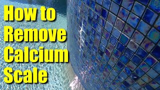 💦Pool Help 1 ● Remove Calcium Scale and Mineral Deposits From Water Features and Tile Line ✅ [upl. by Eahc]