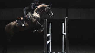 HampM Life  Sports Studio Horse Jumping with Malin Baryard [upl. by Thelma]