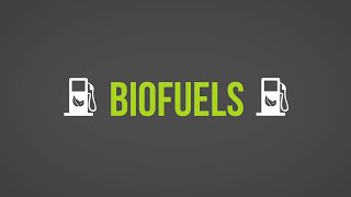 Biofuels 101 [upl. by Ania]