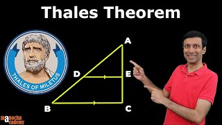 Triangles Class 10 Important Theorems [upl. by Greabe876]