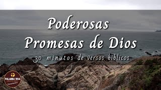 Promesas de Dios que cambiarán tu vida  30 min de versículos bíblicos para motivarte  La Biblia [upl. by Hatcher]