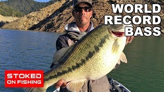 World Record Bass  Part 1 [upl. by Henebry172]