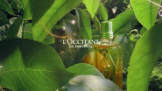 Holiday 2020  LOccitane [upl. by Akiv]