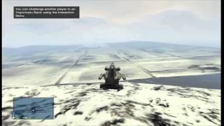 GTA5 North Yankton Glitch [upl. by Tugman]