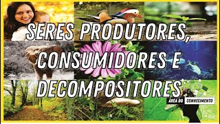 Seres Produtores Consumidores e Decompositores [upl. by Ahseenak812]