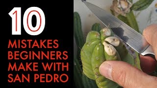 10 Mistakes Beginners Make With San Pedro Cactus [upl. by Luis]