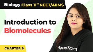 Introduction to Biomolecules  Class 11 Biology [upl. by Luther]