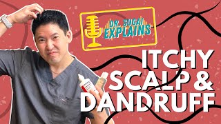 Dr Sugai Explains Itchy Scalp and Dandruff What Shampoos to Consider [upl. by Nylodnarb]