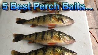 Perch Fishing Tips  The Only 5 Perch Baits That Matter [upl. by Ellienad]