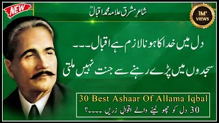 Allama Iqbal Shayari  Best 2 Line Poitry of Allama iqbal  iqbal quotes  iqbal Poitry [upl. by Eenram512]