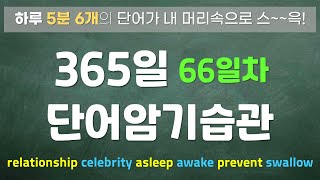 66일차 365일 단어암기습관 [upl. by Azaleah]