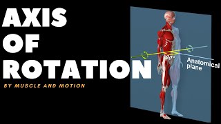 Understanding Axes of MovementRotation [upl. by Osnohpla]