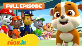 Rubble Joins the PAW Patrol and the Pups Save a Walrus  FULL EPISODES  Nick Jr [upl. by Koenig]