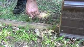 DIY Outdoor Rabbit Pen [upl. by Juakn]