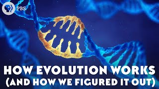 How Evolution Works And How We Figured It Out [upl. by Alue]