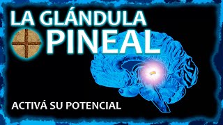 LA GLÁNDULA PINEAL  Activala y desatá todo tu potencial ⚡ [upl. by Oicafinob587]