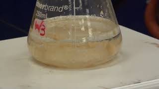 Synthesis of Acetanilide [upl. by Arimas969]