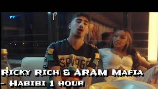 Ricky Rich amp ARAM Mafia  Habibi 1 hour [upl. by Elocon966]