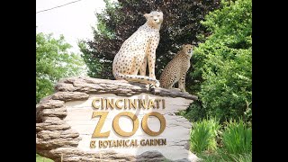 Cincinnati Zoo and Botanical Garden Full Tour  Cincinnati Ohio [upl. by Thibaut318]