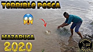 PESCA EN IBICUY  MAZARUCA 2020 [upl. by Ridinger]