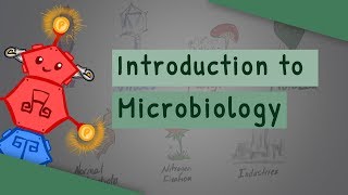 Introduction To Microbiology [upl. by Ednew]