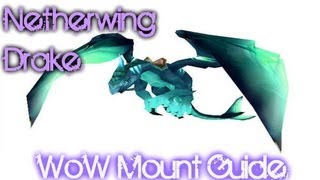 Netherwing Drakes Guide [upl. by Adnirolc]