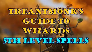 Treantmonks Guide to Wizards 5th level spells [upl. by Evelc]