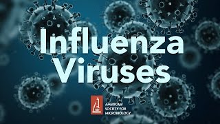 Influenza Viruses by James McSharry PhD [upl. by Ann864]